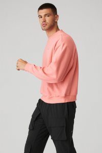 Alo Yoga Accolade Crew Neck Hoodie Rosa | GUBAYJW-26