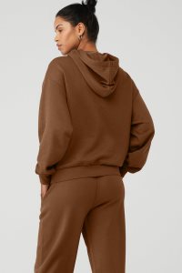 Alo Yoga Accolade Hoodie Braun | AHTGCXU-84