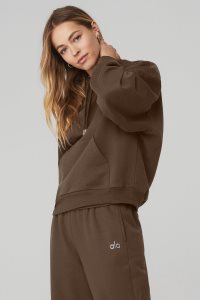 Alo Yoga Accolade Hoodie Kaffee | PTKJIMO-04