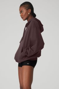 Alo Yoga Accolade Hoodie Schwarz Kaffee | LIZJMGK-98