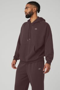 Alo Yoga Accolade Hoodie Schwarz Kaffee | OJMHRZA-48