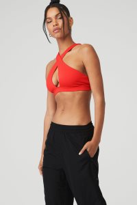 Alo Yoga Airbrush Destination BHs Rot | ITBSHKV-92