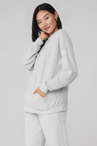 Alo Yoga Alolux Cozy Hoodie Grau | DYWJEVM-80