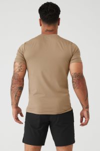 Alo Yoga Conquer Reform Crewneck Short Sleeve Khaki | XUQYJIM-10