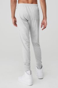 Alo Yoga Conquer Revitalize Pant Sporthosen Grau | PKGXYNV-24