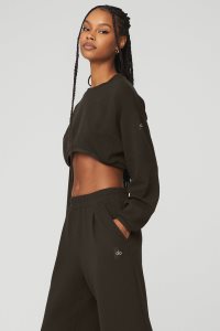 Alo Yoga Cropped Tailored Crew Neck Pullover Kaffee | ZRDVFAQ-23