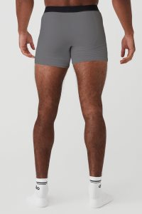 Alo Yoga Day And Night Boxer Brief Unterwäsche Grau | SEUKVNJ-58