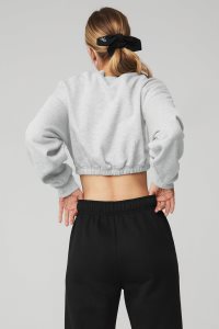 Alo Yoga Devotion Crew Neck Pullover Grau | TOCRVIM-68