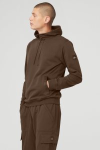 Alo Yoga Highline Hoodie Kaffee | FQNYAUL-28