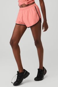 Alo Yoga Ivy League Dolphin Kurze Hose Schwarz | EPHXOUK-68