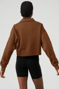Alo Yoga Polo Henley Pullover Braun | NRWBMHQ-85