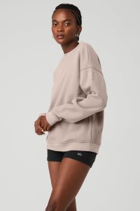 Alo Yoga Renown Heavy Weight Crew Neck Long Sleeve Grau Braun | ZCIPXWO-46