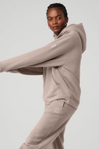 Alo Yoga Renown Heavy Weight Hoodie Grau Braun | RCPZGSB-80