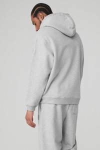 Alo Yoga Renown Heavy Weight Hoodie Grau | SBRCNFM-27