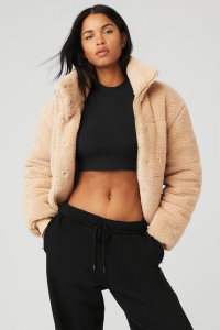 Alo Yoga Snow Angel Puffer Pufferjacke Braun | OALCEFU-58
