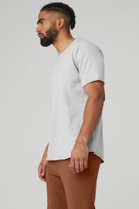 Alo Yoga Society Crewneck Tee Short Sleeve Grau | OEXLQPK-10