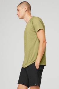 Alo Yoga The Triumph Crew Neck Tee Short Sleeve Senfgelb | MYWUJCG-16