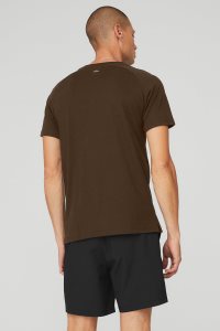 Alo Yoga The Triumph Crew Neck Tee Short Sleeve Kaffee | NZGABPY-89