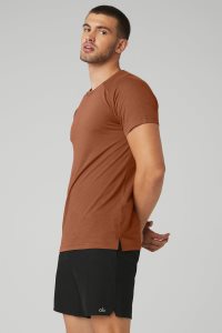 Alo Yoga The Triumph Crew Neck Tee Short Sleeve Rot | RLPHQSV-73