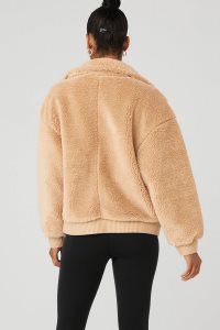 Alo Yoga Varsity Freizeitjacken Braun | VPESIXY-07